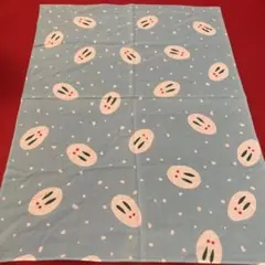 Item thumbnail for item fb2c1b00-b684-4683-871e-fa8bfe8d592b