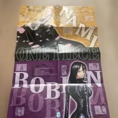 ONE PIECE カードゲーム 販促ポスター 橋本環奈 - メルカリ