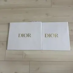 DIOR ディオール　ショッパー　2枚セット