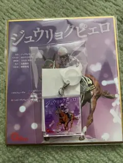 ジュウリョクピエロ 今村聖奈セット　ミニ色紙+アンブレラマーカーのサムネイル