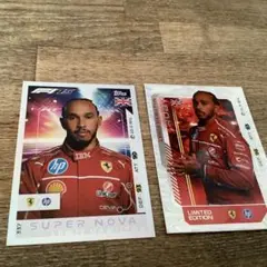 2026年最新】ルイスハミルトンの人気アイテム - メルカリ