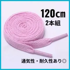 快適 フラット シューズ用 靴紐 120㎝ 平紐 2本組 丈夫 紐交換 通気性