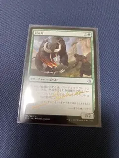 2026年最新】mtg サインドの人気アイテム - メルカリ