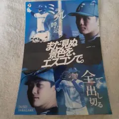 ファイターズステッカー 郡司祐也 柳川大晟まだ見ぬ景色をエスコンで。新品未使用