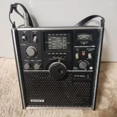 スカイセンサー