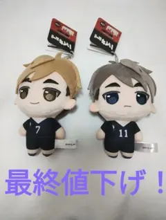 ぷちっしゅ！ ハイキュー!! vol.2 【宮治】 【宮侑】