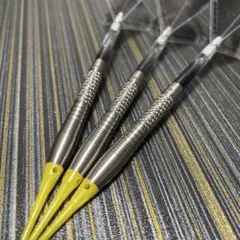 2025年最新】サルディバル ダーツの人気アイテム - メルカリ