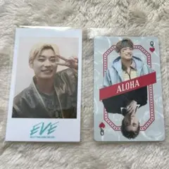 超特急　アロハ　まとめ売り