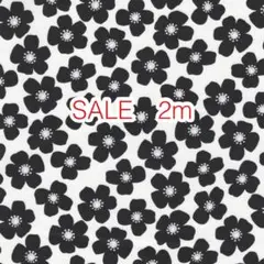 SALE 2m お花 ホワイト オックス