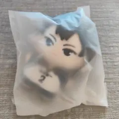 ハイキュー　幼少期　ぬいぐるみ　影山飛雄