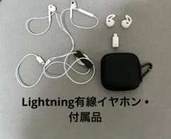 Lightning有線イヤホン USB-Cアダプタ•イヤホンカバー•ケース付き