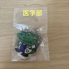 阪大ワニ博士　アクリルキーホルダー