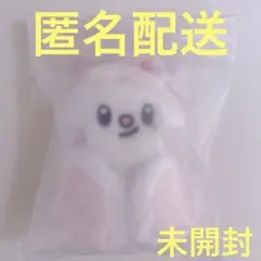 【未開封】Straykids 本国ペンミSKZOO PLUSH 10㎝ジニレット