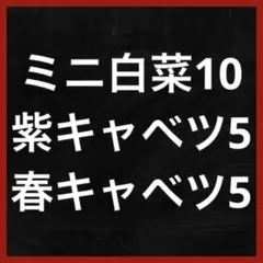 みかりん様 リクエスト 3点 まとめ商品