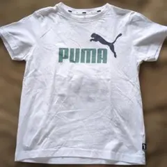 PUMA Tシャツ ホワイト 140cm
