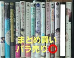 BL本12冊   バラ売り可