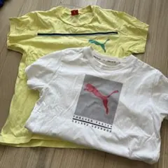 PUMA Tシャツ 2枚セット 140サイズ