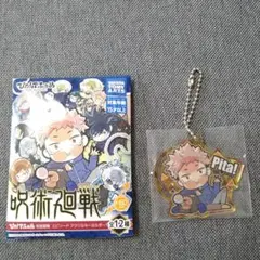 呪術廻戦　アクリルキーホルダー　 ぴた！でふぉめ