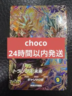 SDV8-069 トランクス:未来