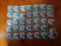 ウィンドブレーカー 梅宮一 缶バッジ 33個セット