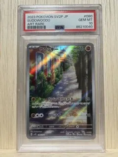 2025年最新】ウソッキー psa10の人気アイテム - メルカリ