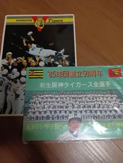 Item thumbnail for item 68c6eae8-09f3-4c3f-8f04-7b2fd851e1d6