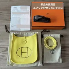 新品未使用　HERMES エヴリンTPM ショルダーバッグ　リモンチェロ　W刻印のサムネイル