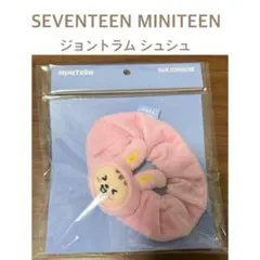 2026年最新】ミニティーン seventeen ジョンハンの人気アイテム - メルカリ