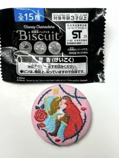 ☆Disney☆刺繍缶バッチ☆眠れる森の美女