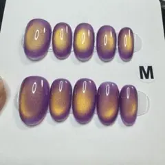 【セツ】マグネット　ネイルチップ　付け爪(A1462)