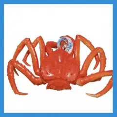 Item thumbnail for item 2afa7081-1330-4d08-b963-c7c0226d4b15