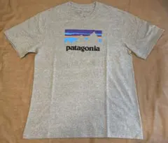 【中古】Patagonia Tシャツ Mサイズ