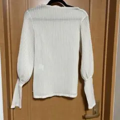 シースルー Tシャツ