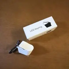 NEOREST LS LED Keyring 30th Anniversary