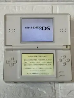 Nintendo DS Lite ホワイト 本体 動作確認済 タッチペン充電器付