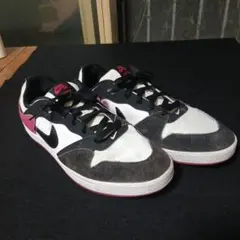 格安でお願いいたします　NIKE SB ALLEYOOP