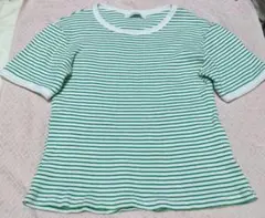 AQUALEAFアクアリーフ　ボーダー柄ミニTシャツ　グリーンホワイトのサムネイル