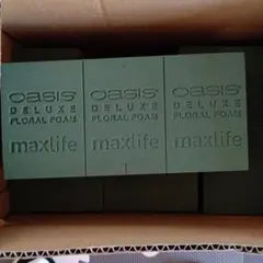 Item thumbnail for item e5f6dd87-cf78-4121-8e35-b68d4dfa9431