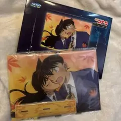 名探偵コナン 新一＆蘭 アクリルパネル【紅の修学旅行】