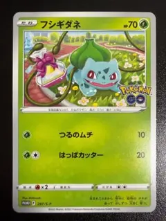 フシギダネ：ポケモン GO プロモカード ギフトキャンペーン PROMO S