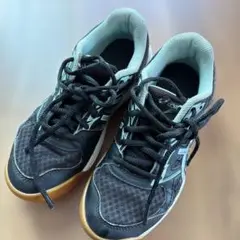 ASICS バレーボールシューズ 21.0cm