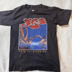 YES KEYS TO ASCENSION シャツ【S新品未使用】05