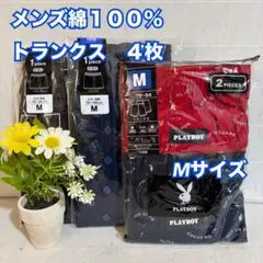 Item thumbnail for item 0e8dcca8-df09-4a6c-b56a-528b6005ed20