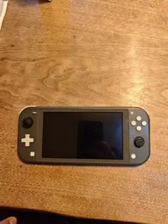 Nintendo Switch Lite グレー 本体 ジャンク