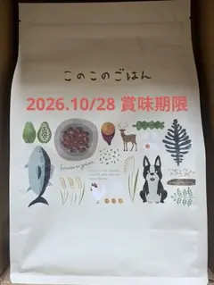 Item thumbnail for item 090648c9-8059-40d9-8514-2c18d46aca01