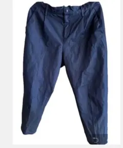 ワークマンストレッチブルーゴム紐調節春夏用