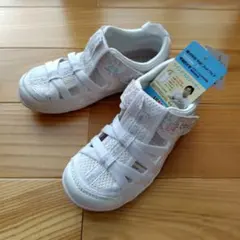 Item thumbnail for item fb800412-f06d-44ad-a638-8d438a39efa4