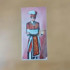 宝塚　チケットフォルダー　紅ゆずる　メモリアルスリムクリアファイル　グッズ