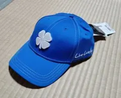 Item thumbnail for item 5e52c2c2-7966-4392-ab97-2082aa7d87c2