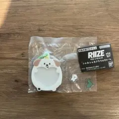 RIIZEカシャカシャアクリルチャーム アントン/モンリョンイ
